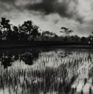 Image description is not available for 1999.032